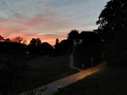 Waldkauz